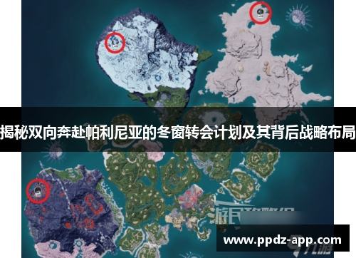揭秘双向奔赴帕利尼亚的冬窗转会计划及其背后战略布局
