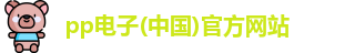 pp电子